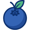 VeryBerry Logo